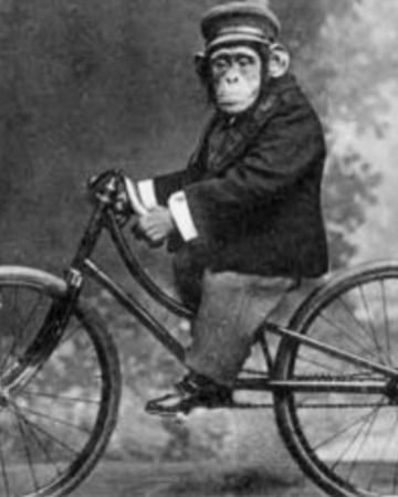 Foto Bikeguide Stefan Wieser